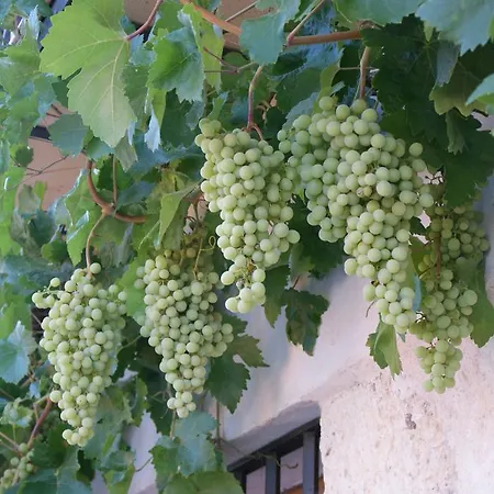 Lägenhet Dulce Encanto Del Valle