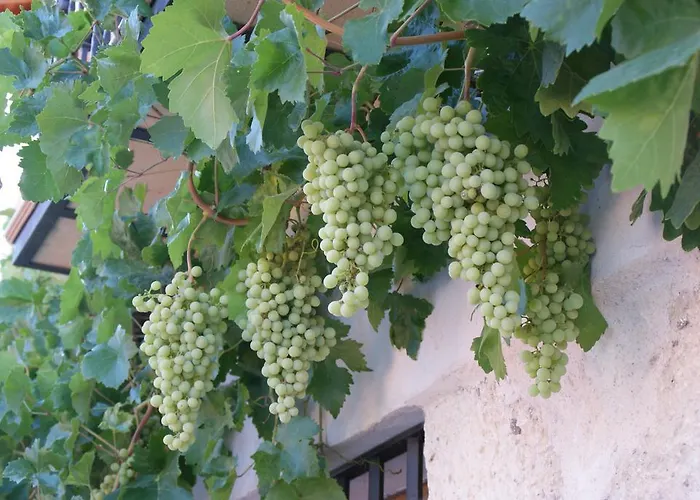 公寓 迷人峡谷公寓